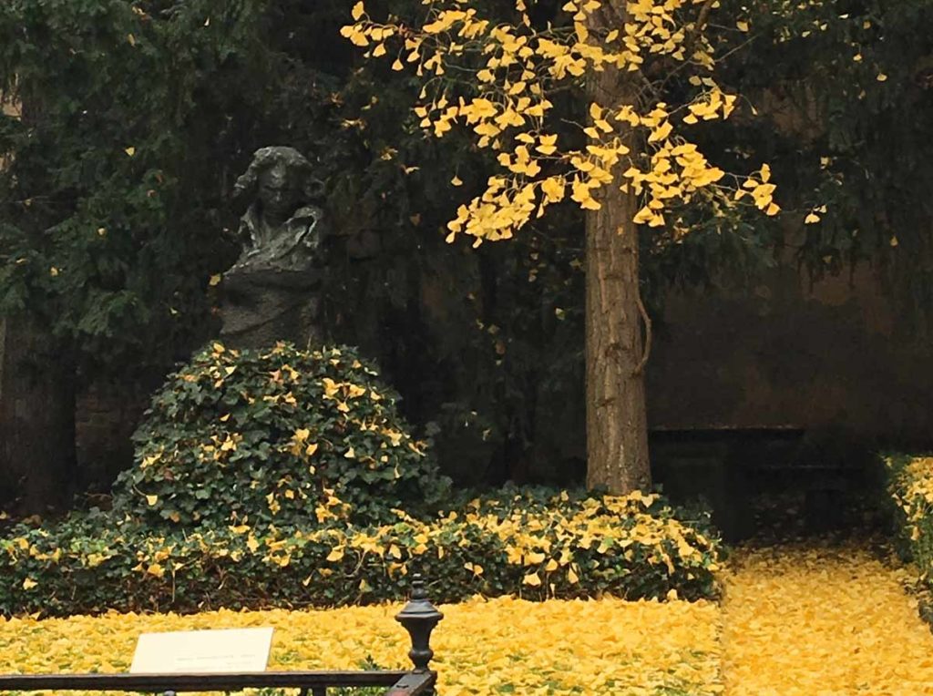 busto de beethoven no museu que era sua antiga casa em bonn